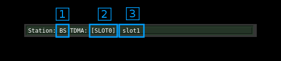 DSD DMR status